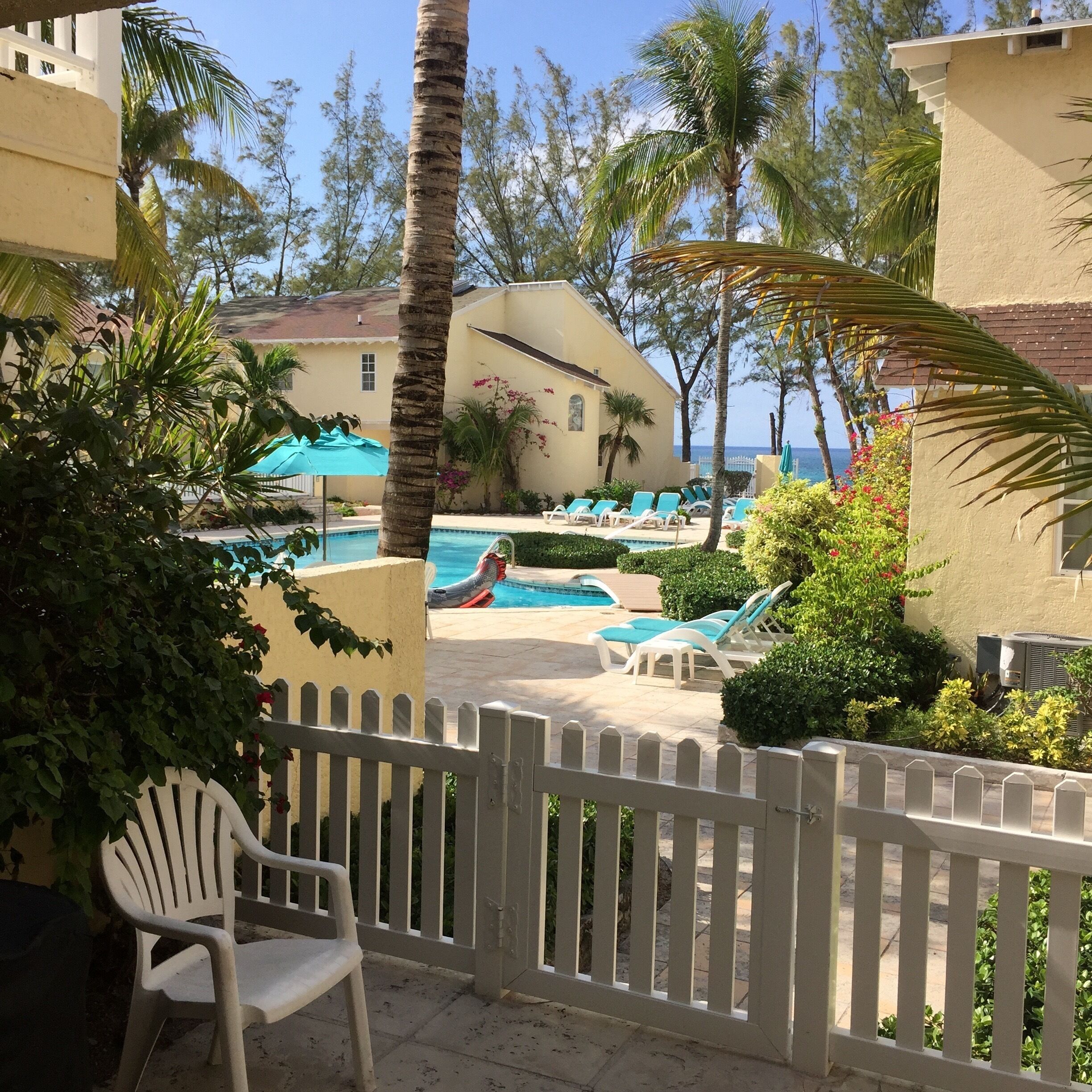 The shared pool with sun loungers between the villas.