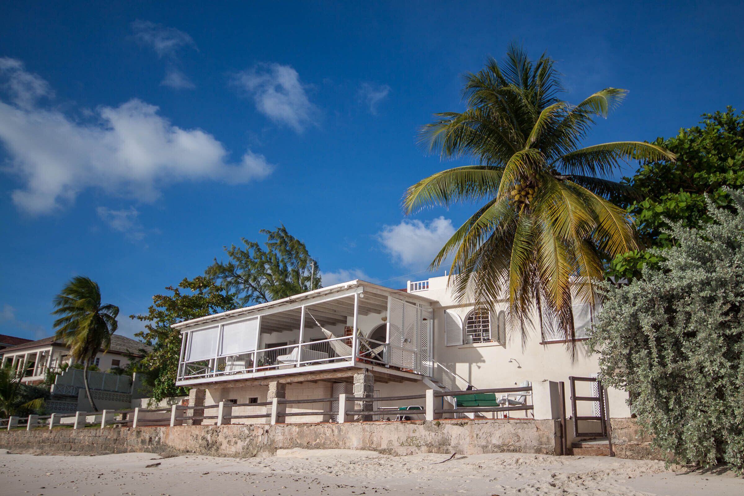 The house on the beach, with a veranda and a palm tree.