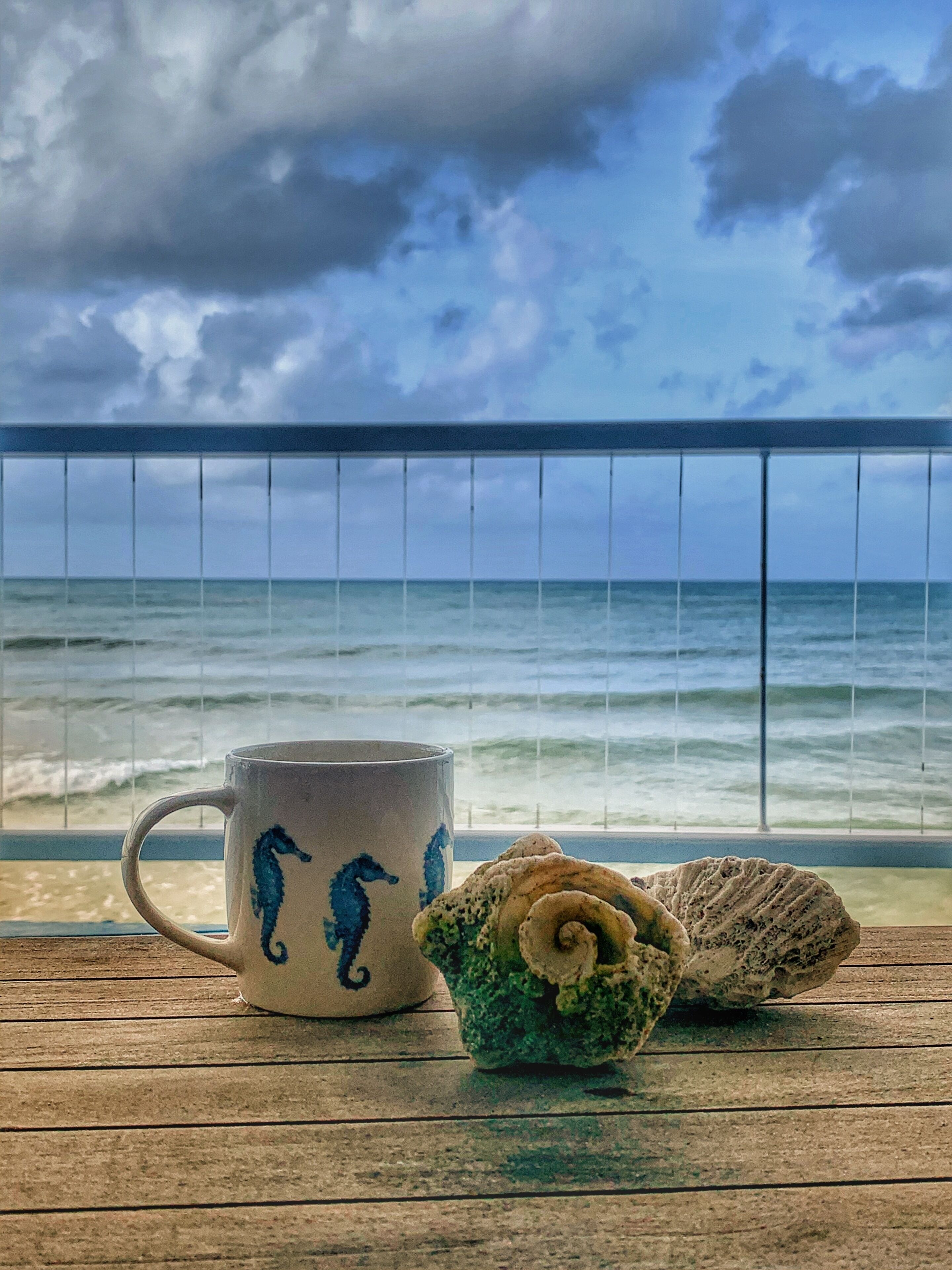 A mug and shells on a table on the deck, with the sea beyond.