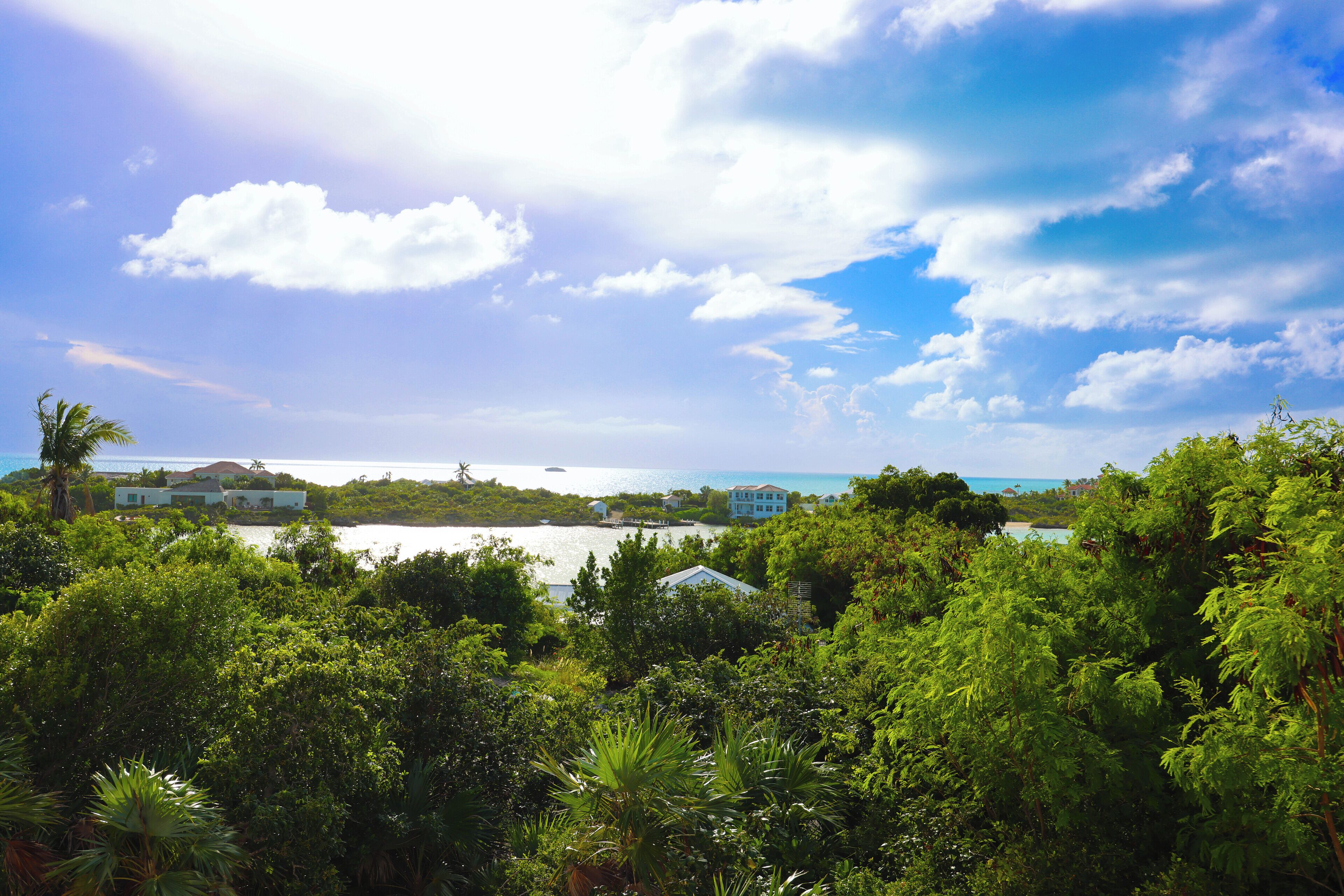 A view over trees of a lagoon, houses, and the sea.