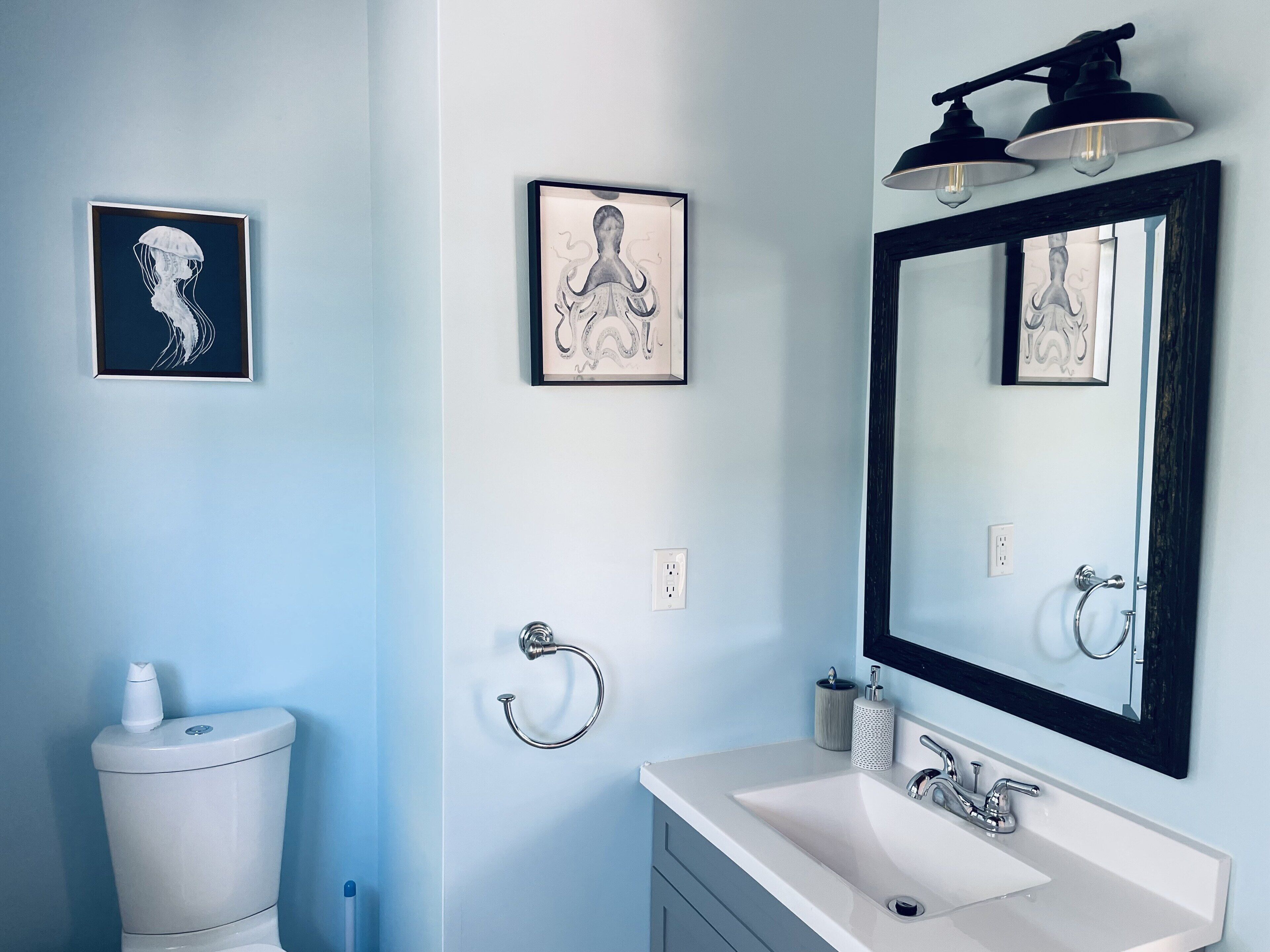 A bathroom with a sink, a mirror, and pictures of sea animals.