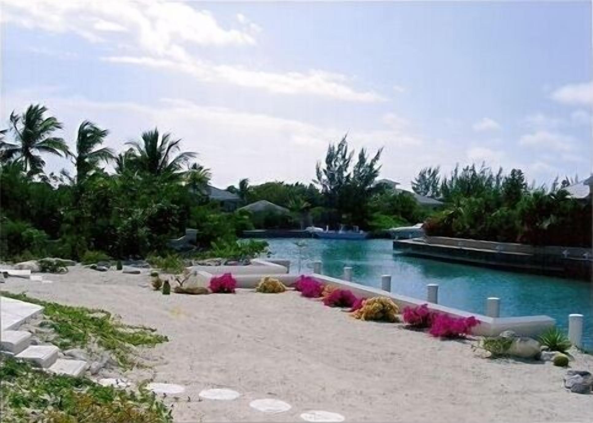 A sandy path along a canal with a dock and flowers.